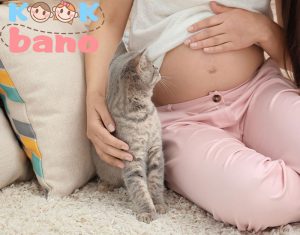 حیوانات خانگی در بارداری