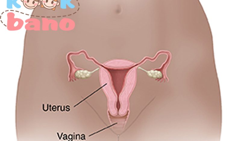 انواع شایع عفونت واژن