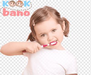 چگونه دندان های کودک را مسواک بزنید: