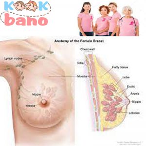 علائم سرطان سینه شامل ایجاد توده یا تغییر در پستان است.